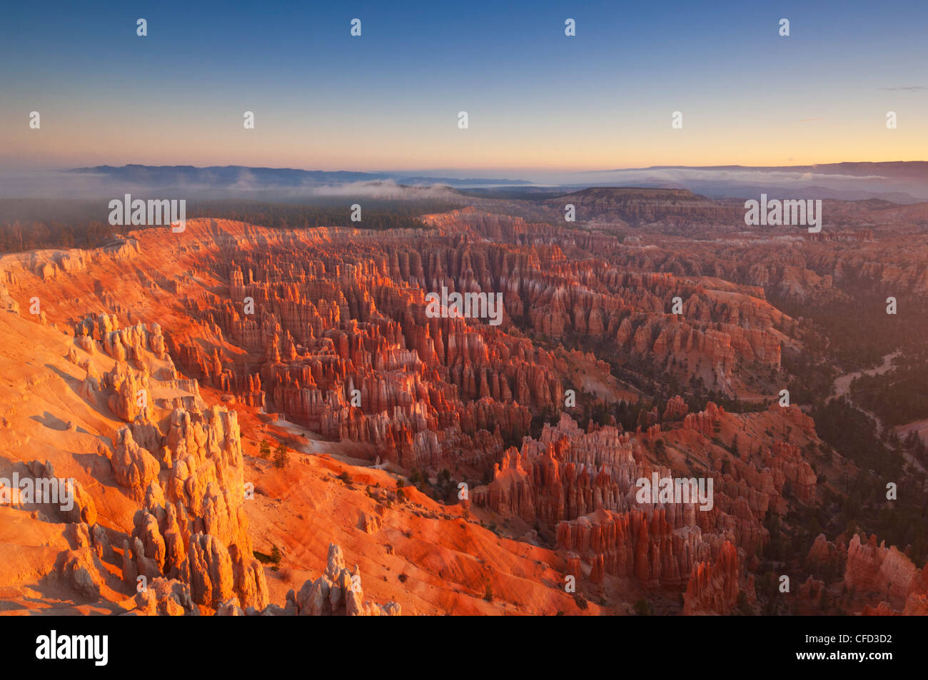 Sandstone hoodoos in Bryce Amphitheater, sunrise with low mist, Bryce Canyon National Park, Utah, United States of America Stock Photo
