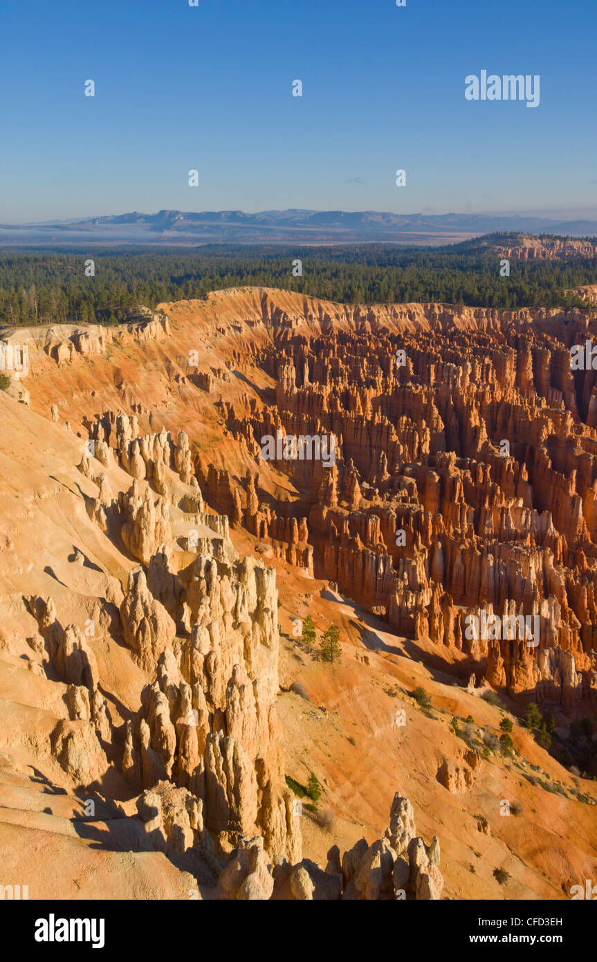 Sandstone hoodoos in Bryce Amphitheater, Inspiration Point, Bryce Canyon National Park, Utah, United States of America Stock Photo
