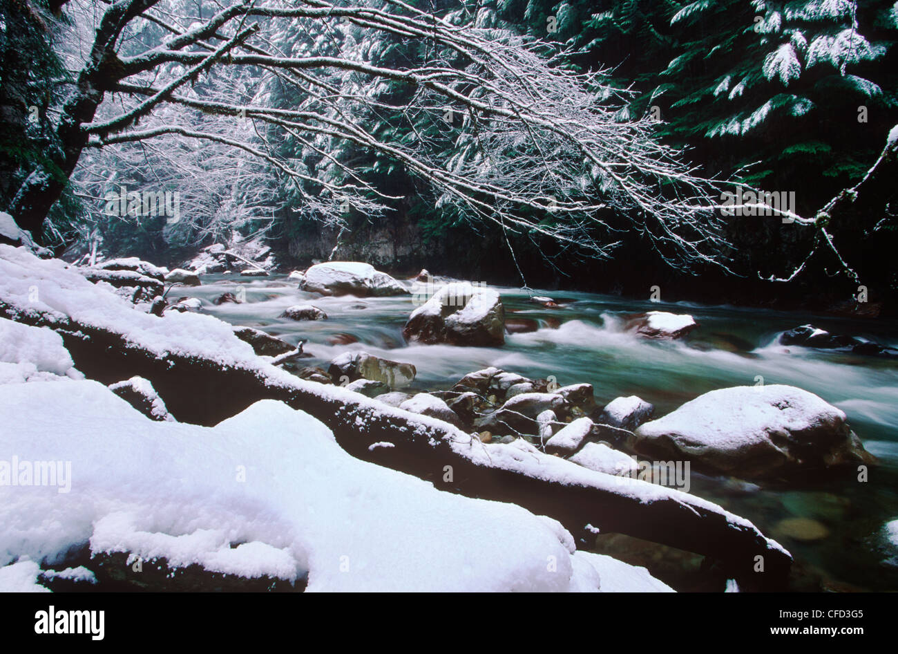 Tamahi creek flows from Cascade range, British Columbia, Canada. Stock Photo