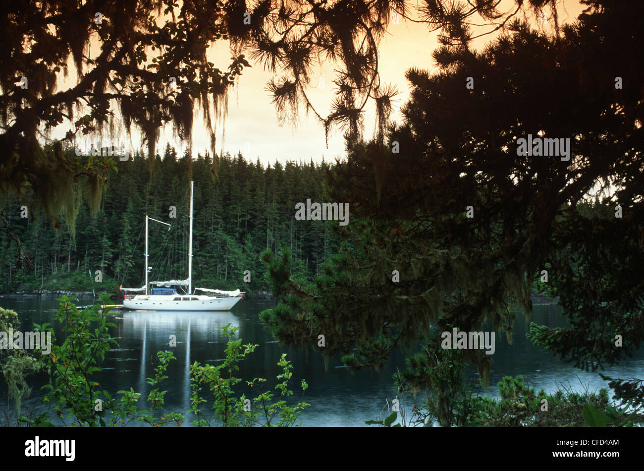 Broughton Archipelago, Pearse Islands, ecotour boat Island Roamer, Vancouver Island, British Columbia, Canada. Stock Photo