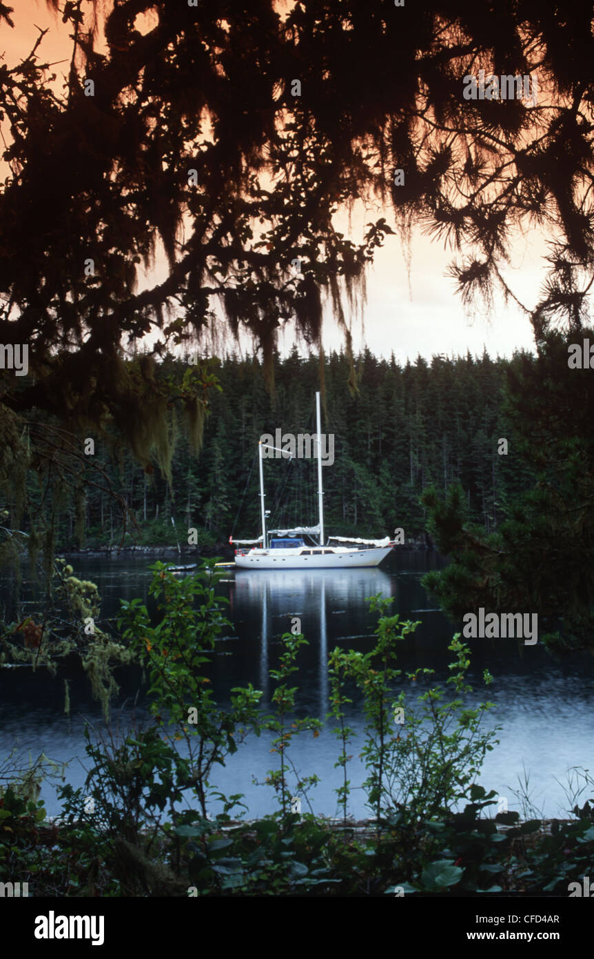 Broughton Archipelago, Pearse Islands, ecotour boat Island Roamer