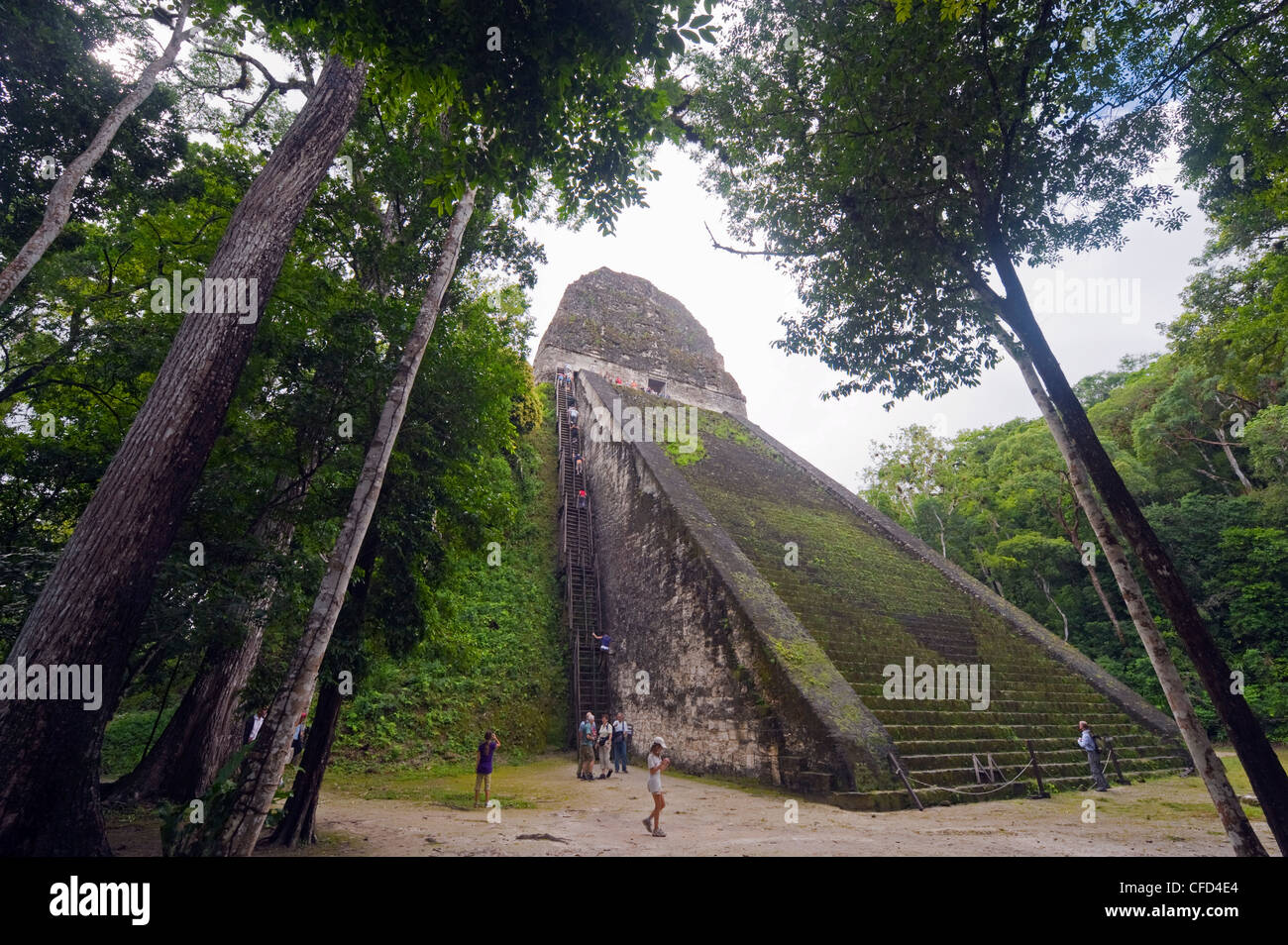 Tourists climbing a pyramid in the forest, Mayan ruins, Tikal, UNESCO World Heritage Site