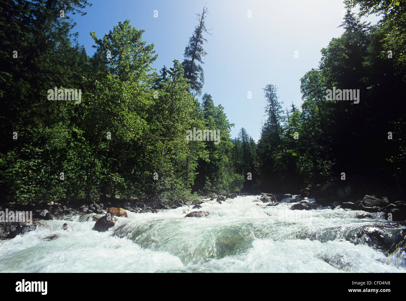 Clean fresh mountain water hi-res stock photography and images - Alamy