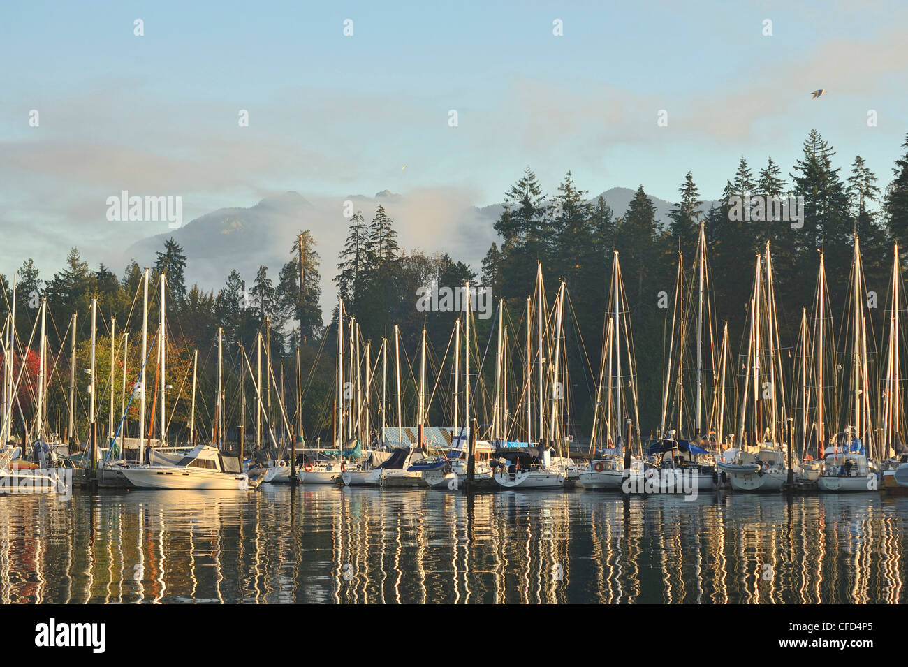 Vancouver Rowing Club Marina, Stanley Park, and North Shore mountains