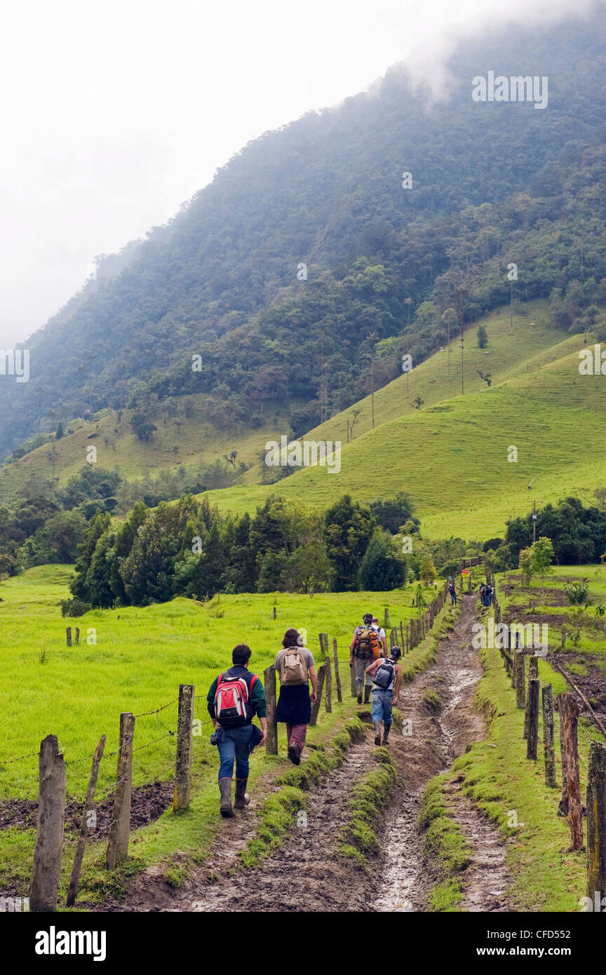 Hiking in Cocora Valley, Salento, Colombia, South America Stock Photo