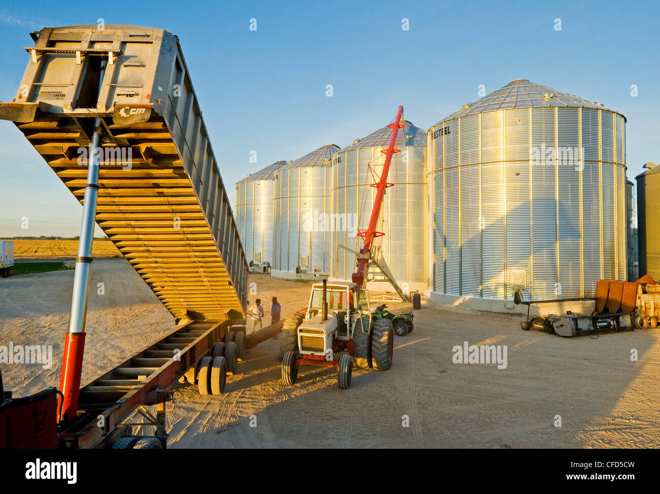 A farmer unloads a grain truck loaded with wheat into a grain storage bin during the harvest