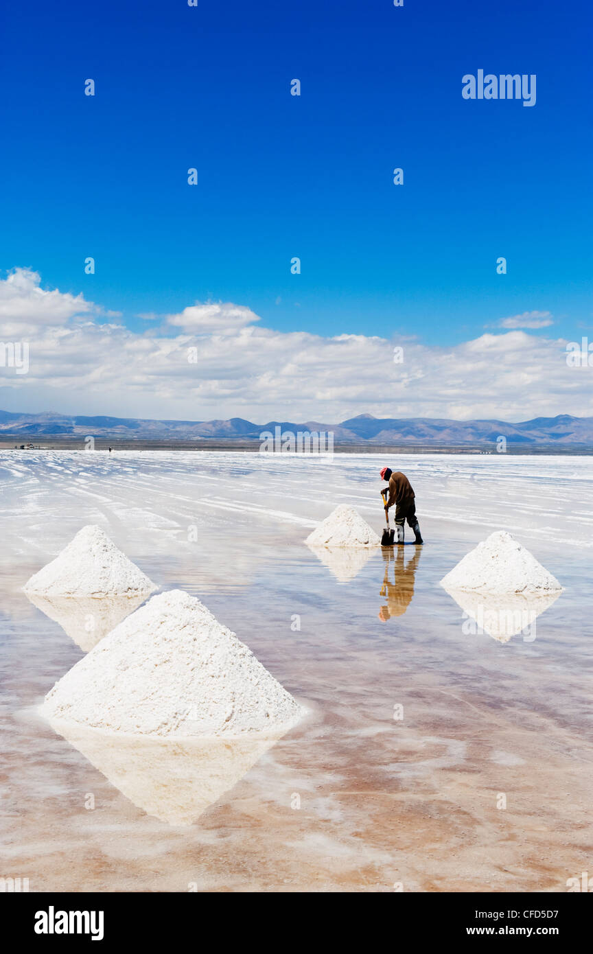 Man collecting salt, Salir de Uyuni, salt flats, Bolivia, South America Stock Photo