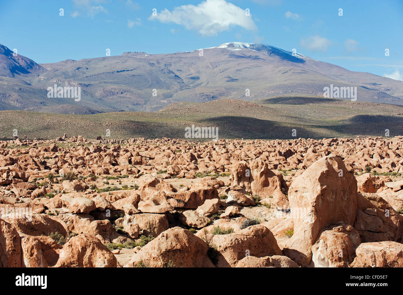 Rock formations in the altiplano hi-res stock photography and images ...