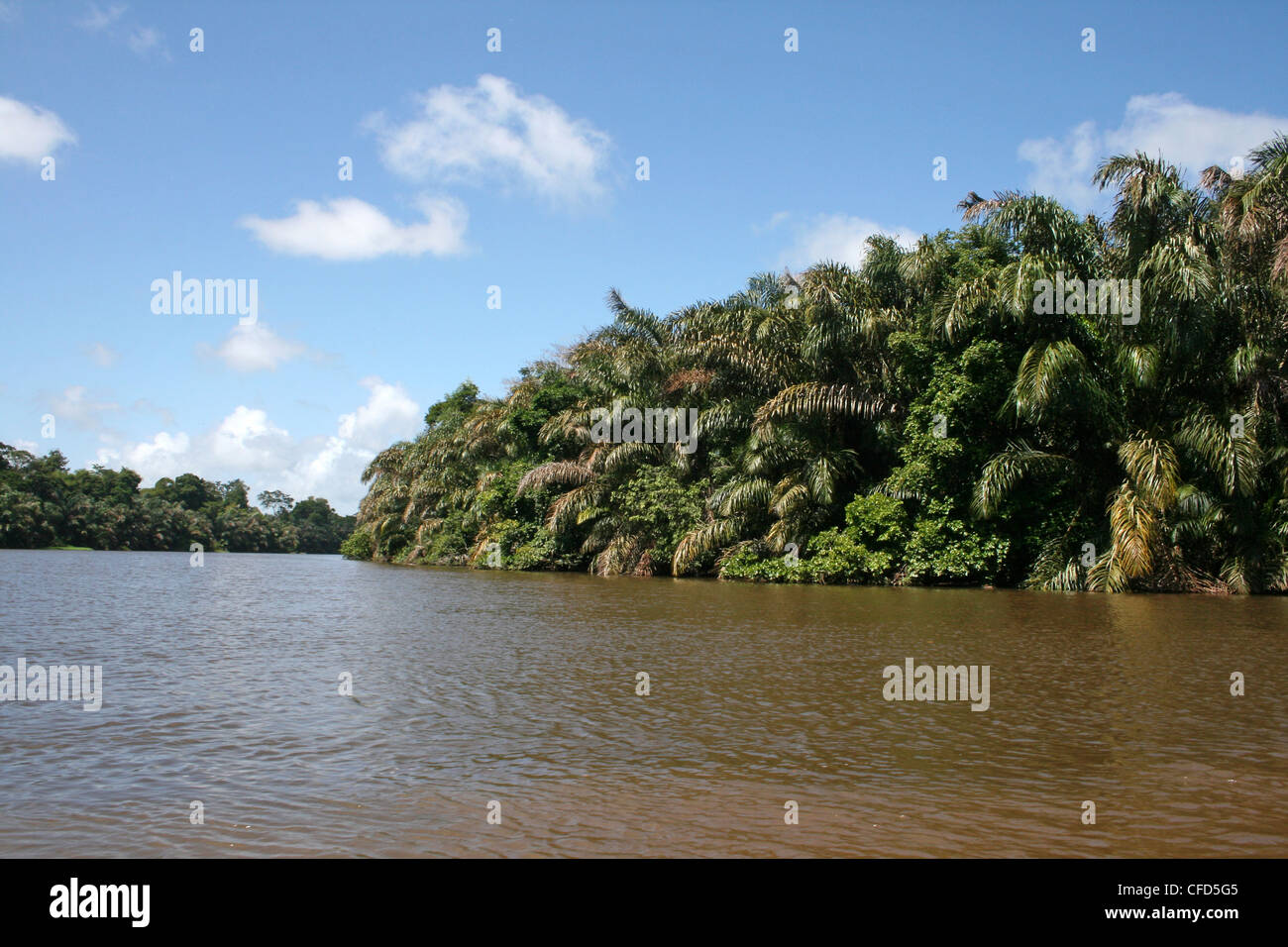 Lagoon in Tortuguero National Park, Costa Rica Stock Photo