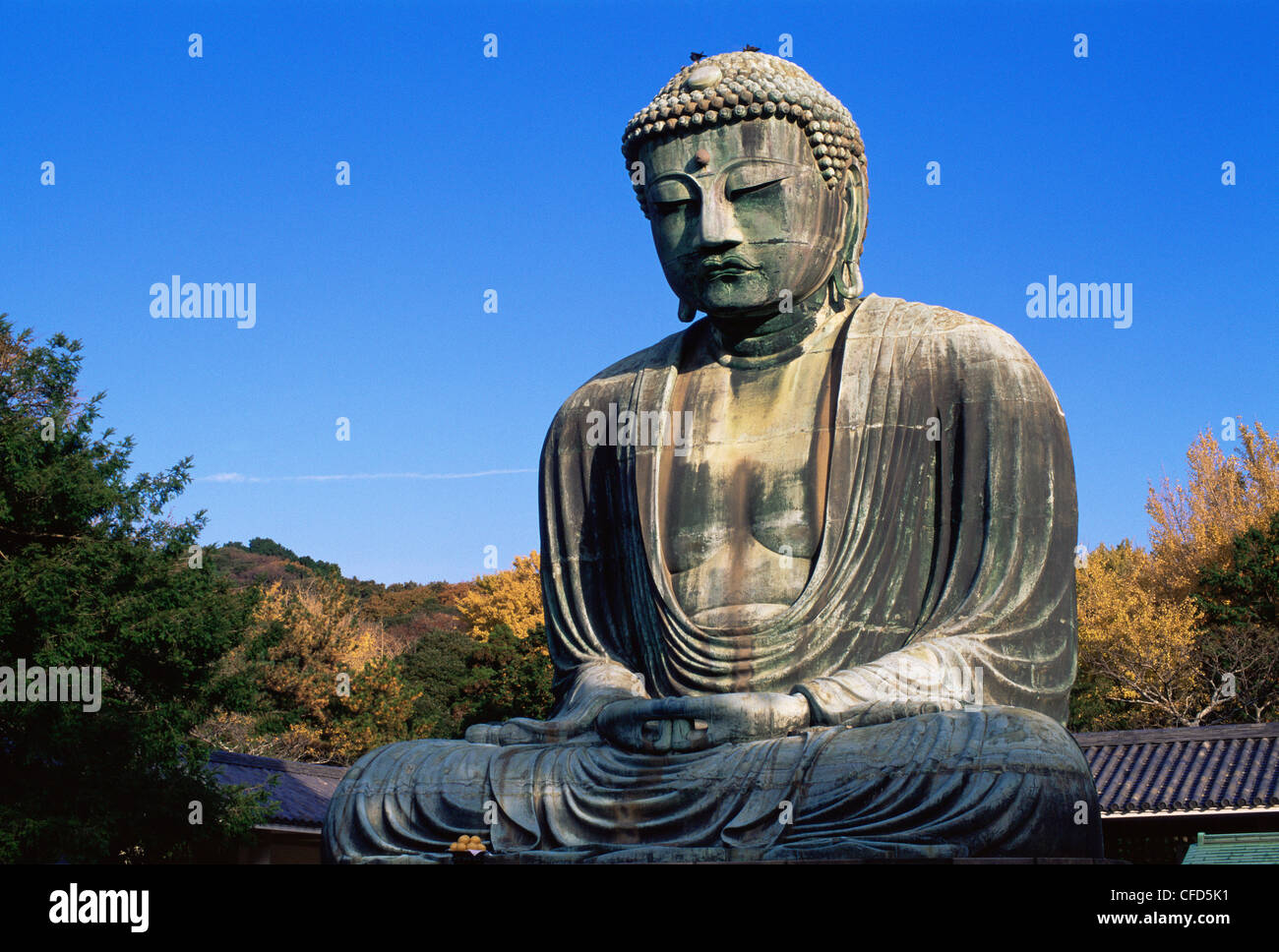 Japan, Tokyo, Kamakura, Daibutsu, The Great Buddha with Autumn Leaves Stock Photo