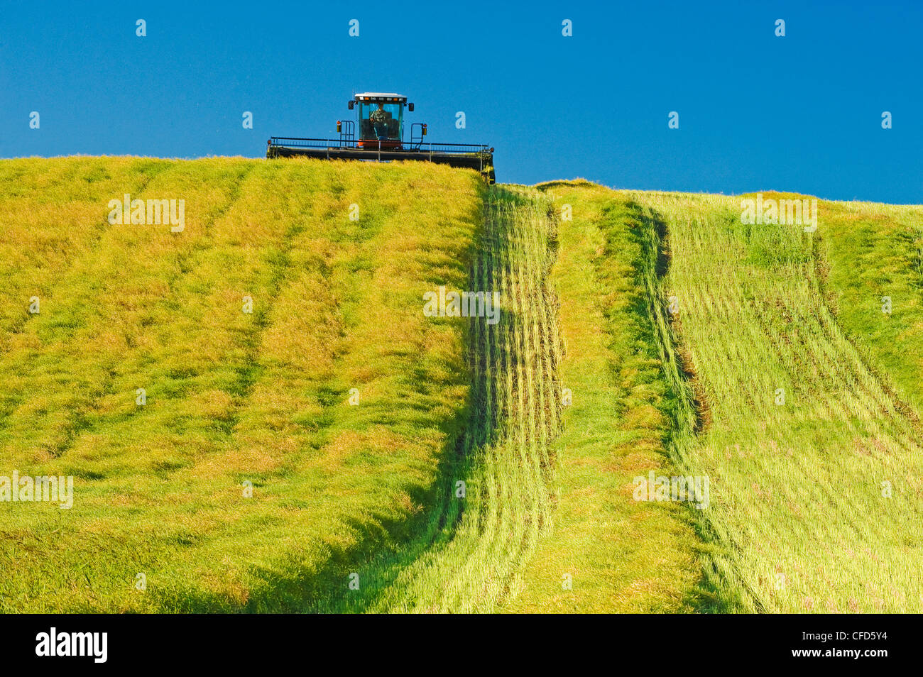 Swath swather hires stock photography and images Alamy