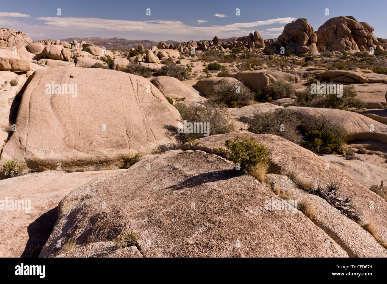 Granite desert landscape in Joshua Tree National Park; California, USA Stock Photo