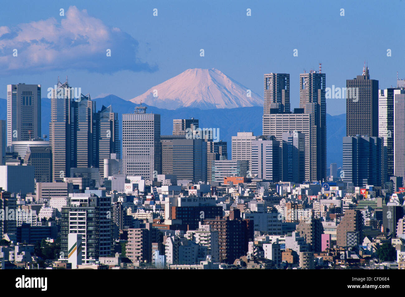 Japan, Tokyo, Mt.Fuji and Tokyo Shinjuku Area Skyline Stock Photo