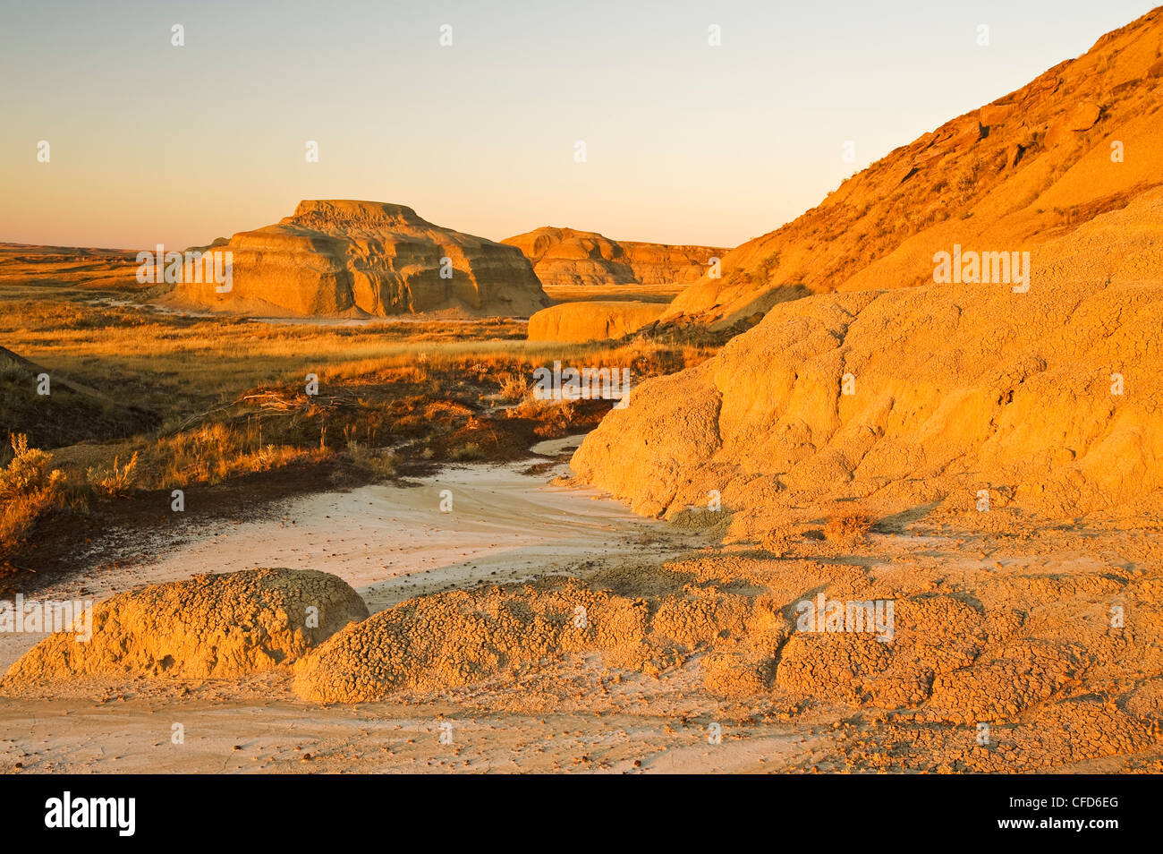 Killdeer Badlands, East Block, Grasslands National Park, Saskatchewan