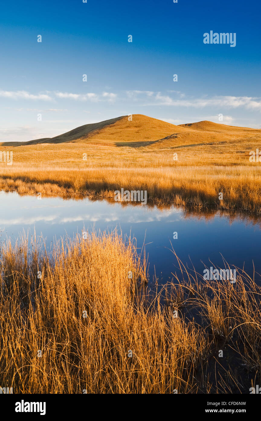 West Block, Grasslands National Park, Saskatchewan, Canada Stock Photo