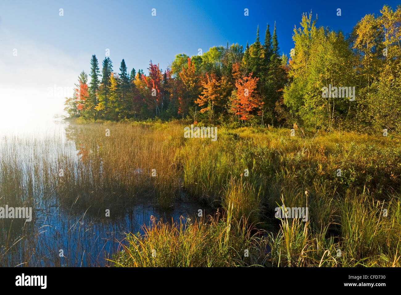 Autumn, Bunny Lake, near Sioux Narrows, Northwestern Ontario, Canada