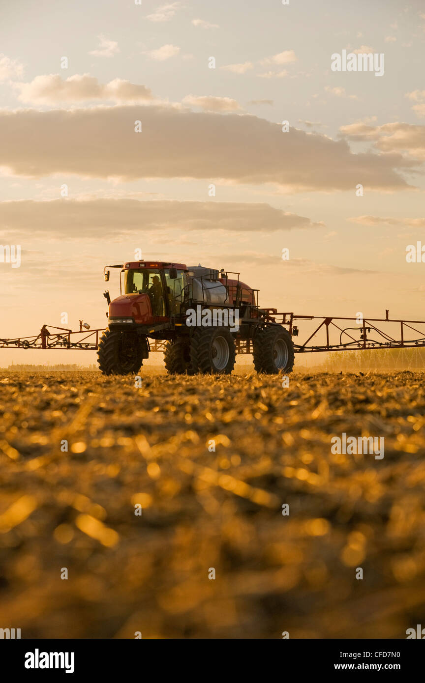 A high clearance sprayer applies liquid fertilizer on a newly seeded