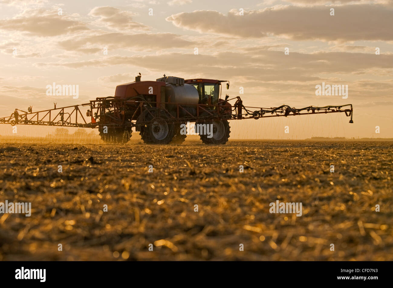 A high clearance sprayer applies liquid fertilizer on a newly seeded