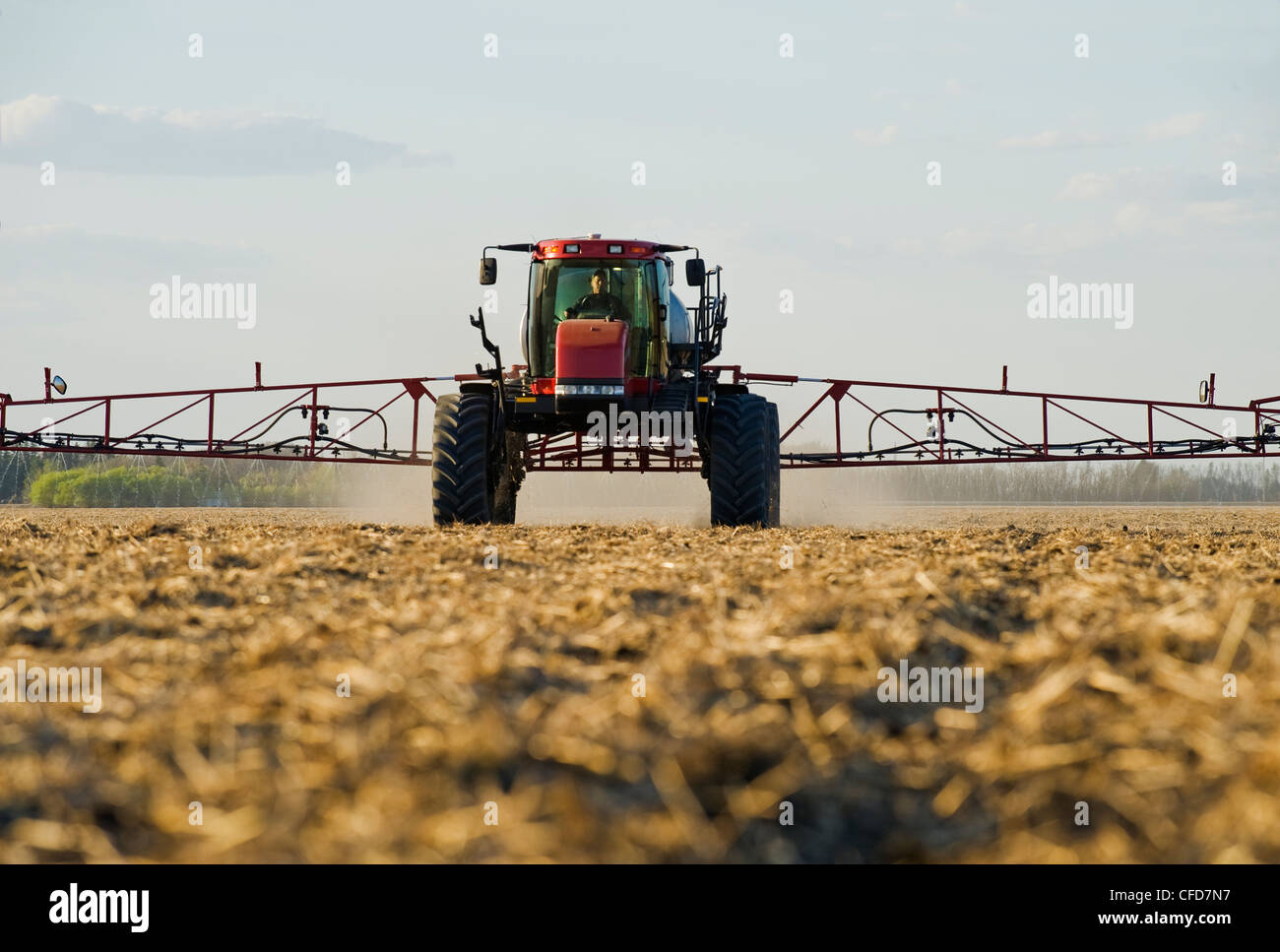 A high clearance sprayer applies liquid fertilizer on a newly seeded