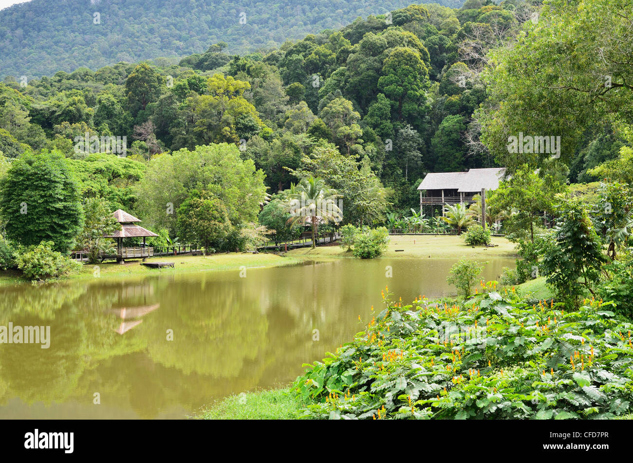 Sarawak Cultural Village, Sarawak, Borneo, Malaysia, Southeast Asia, Asia Stock Photo