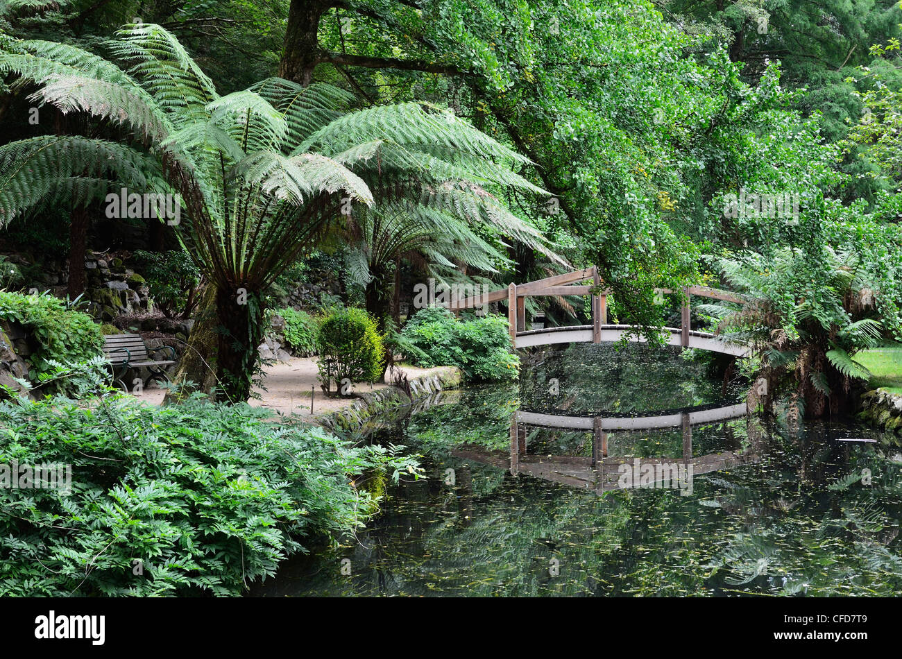 Alfred Nicholas Gardens, Dandenong Ranges National Park, Dandenong