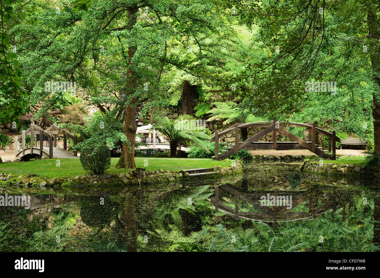 Alfred Nicholas Gardens, Dandenong Ranges National Park, Dandenong