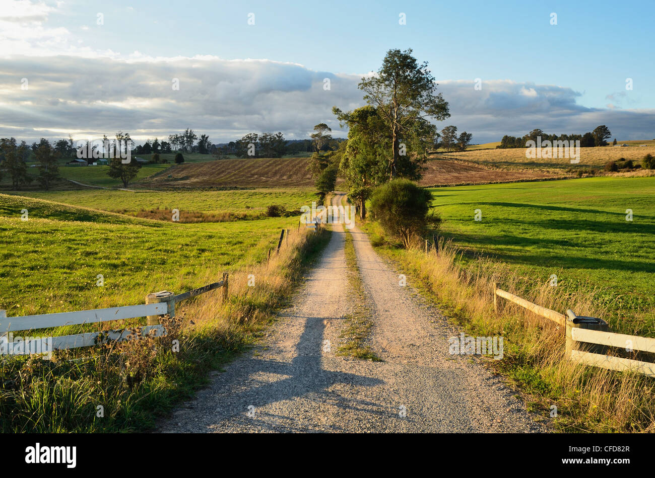 Rural road near Deloraine, Tasmania, Australia, Pacific Stock Photo