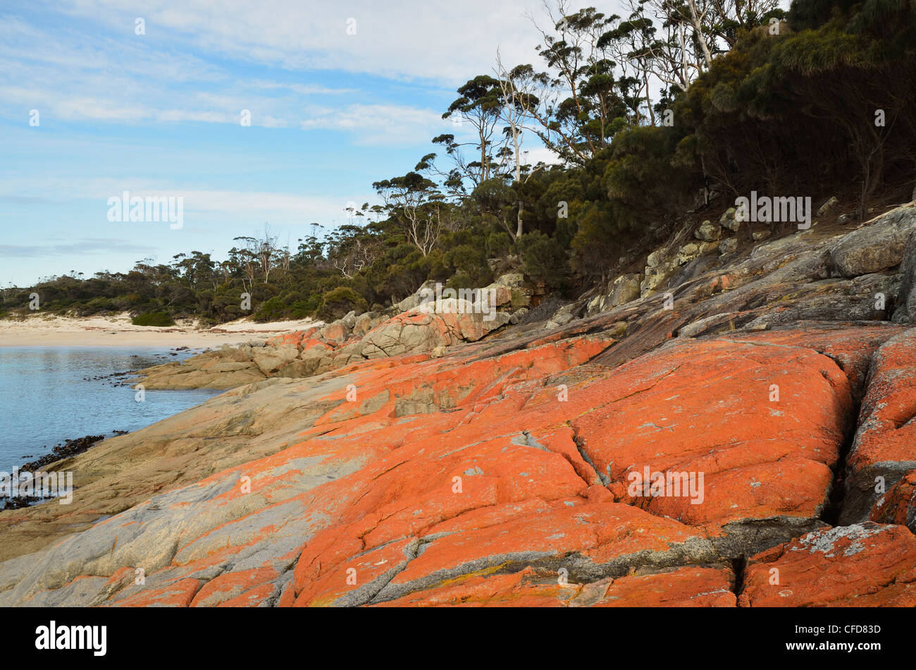 Red lichen on rocks, Wineglass Bay, Freycinet National Park, Freycinet Peninsula, Tasmania, Australia, Pacific Stock Photo