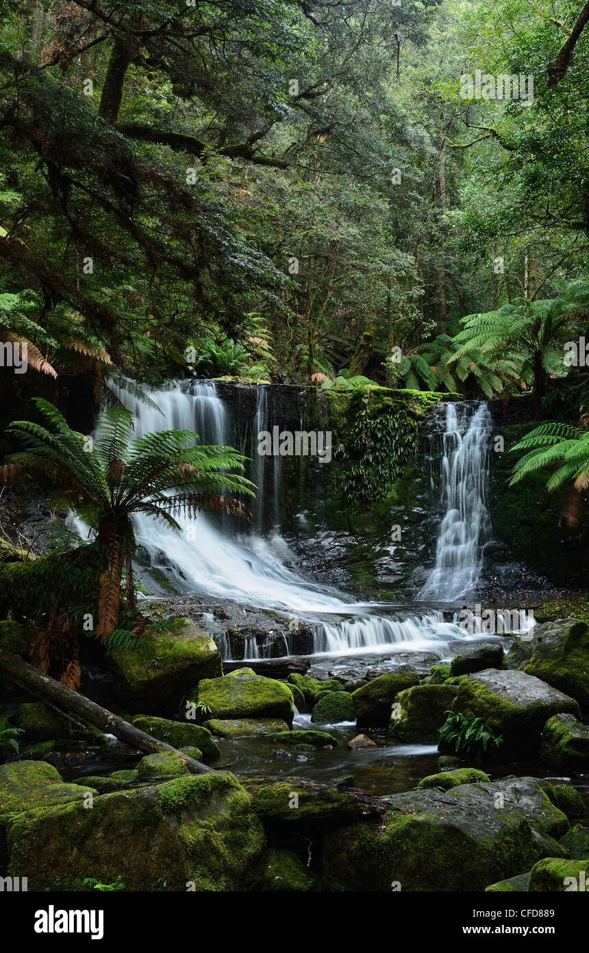 Horseshoe Falls, Mount Field National Park, UNESCO World Heritage Site