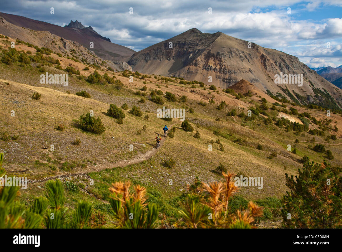 Spruce Lake Protected Area, Southern Chilcotins, British Columbia, Canada Stock Photo Alamy