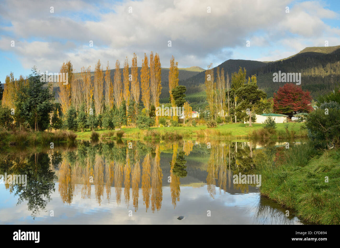 Rural scene, Maydena, Tasmania, Australia, Pacific Stock Photo Alamy