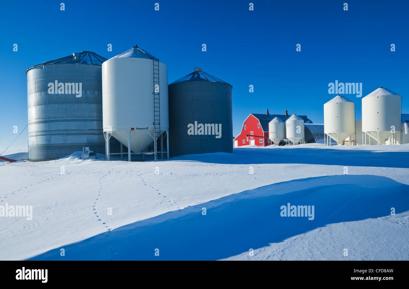 Red barn and grain bins near Torquay Saskatchewan, Canada Stock Photo