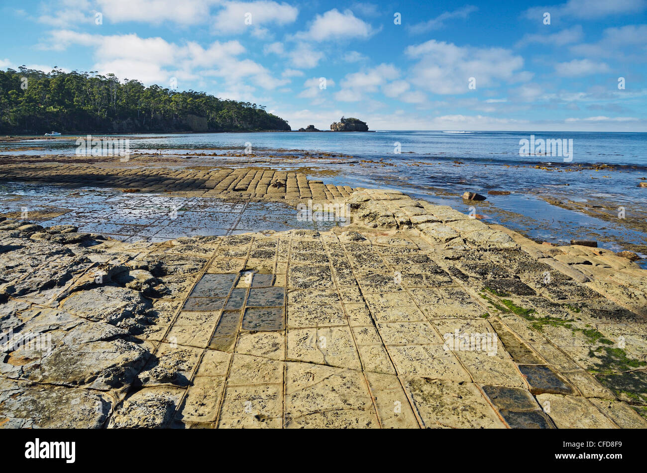 Tessellated Pavement, Pirates Bay, Tasman Peninsula, Tasmania, Australia, Pacific Stock Photo