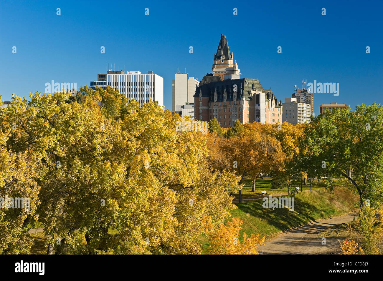 Saskatoon autumn colors hires stock photography and images Alamy