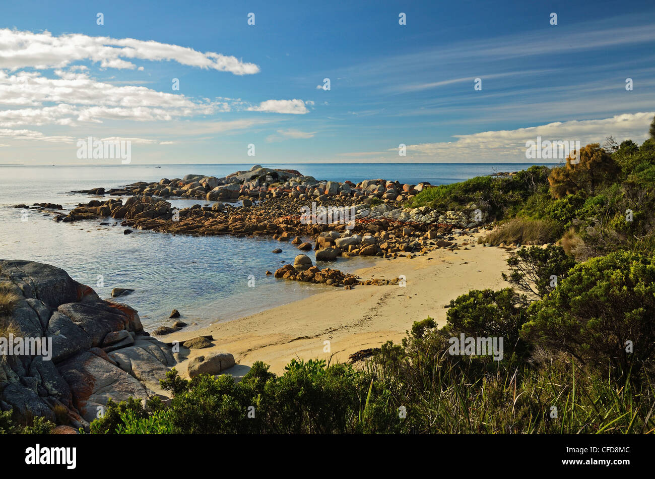 Beach at St. Helens Conservation Area, St. Helens, Tasmania, Australia, Pacific Stock Photo