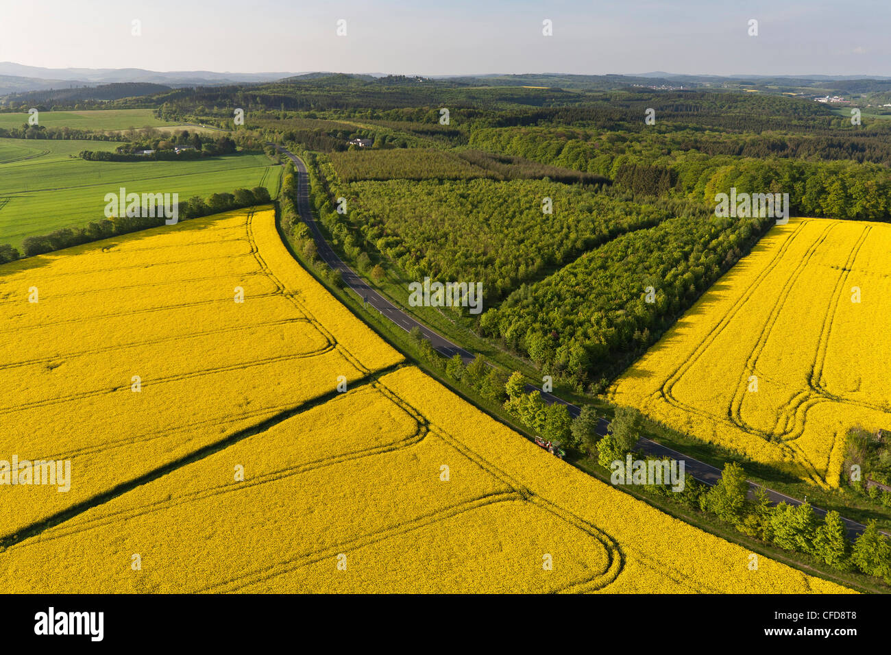 Aerial view of flowering canola field, Eifel, Rhineland Palatinate, Germany, Europe Stock Photo