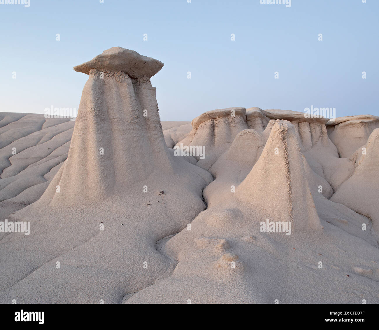 Hoodoos and erosion drainage, Bisti Wilderness, New Mexico, United States of America, Stock Photo