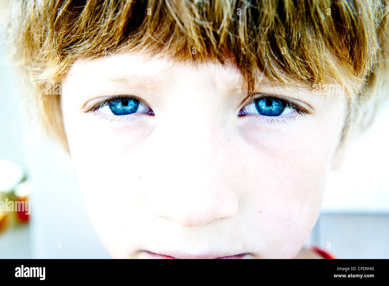 a pair of blue eyes looking at the camera Stock Photo Alamy a pair of blue eyes looking at the camera Stock Photo Alamy