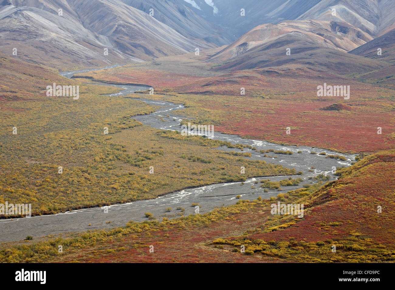 Braided river in the fall, Denali National Park and Preserve, Alaska, United States of America, Stock Photo