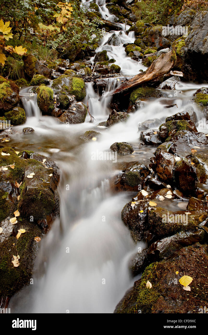 Cascade at Pioneer Falls, Alaska, United States of America, Stock Photo