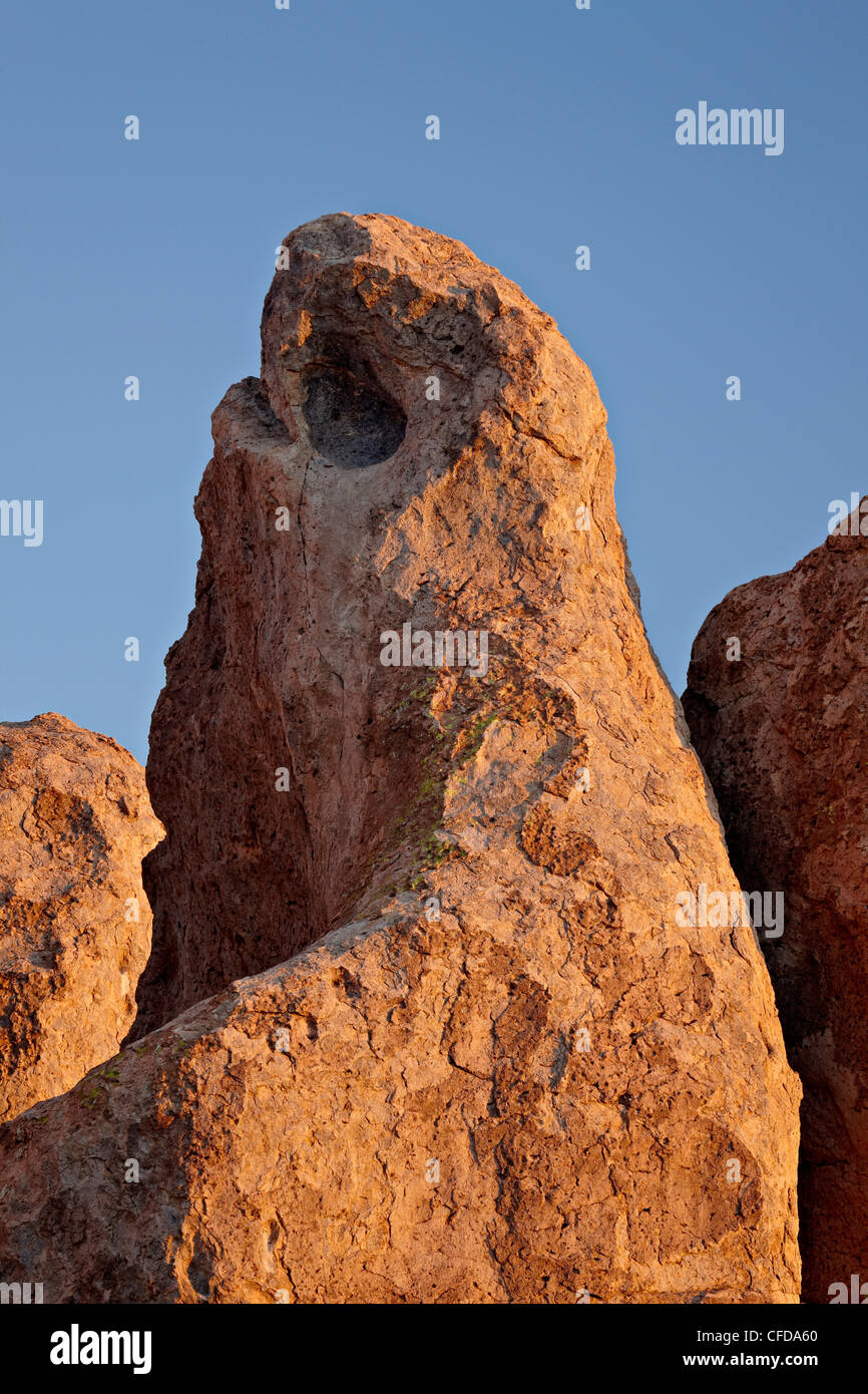 Rock pillars, City of Rocks State Park, New Mexico, United States of America, Stock Photo