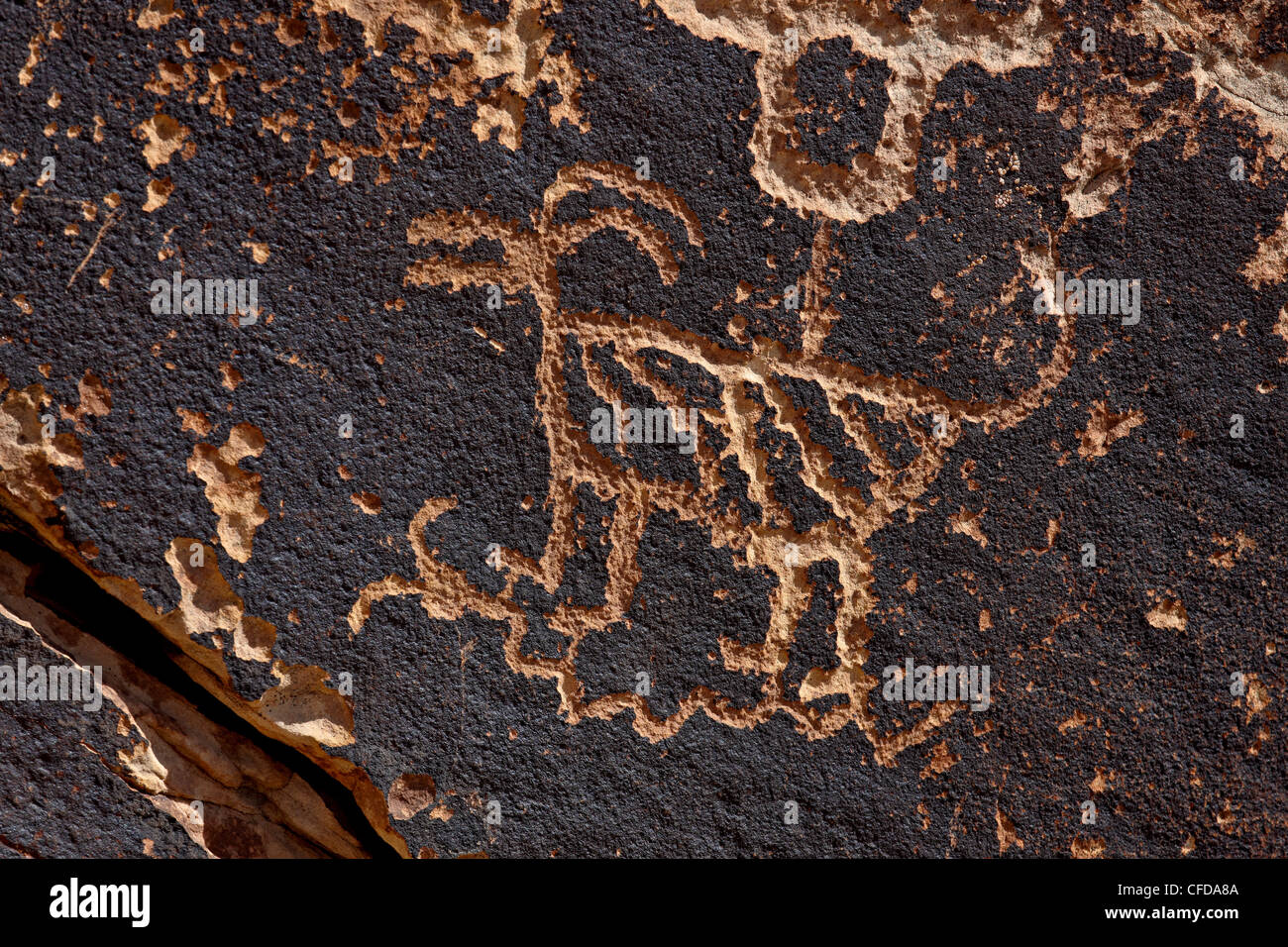 Bighorn sheep petroglyph, Petrified Forest National Park, Arizona, United States of America, Stock Photo