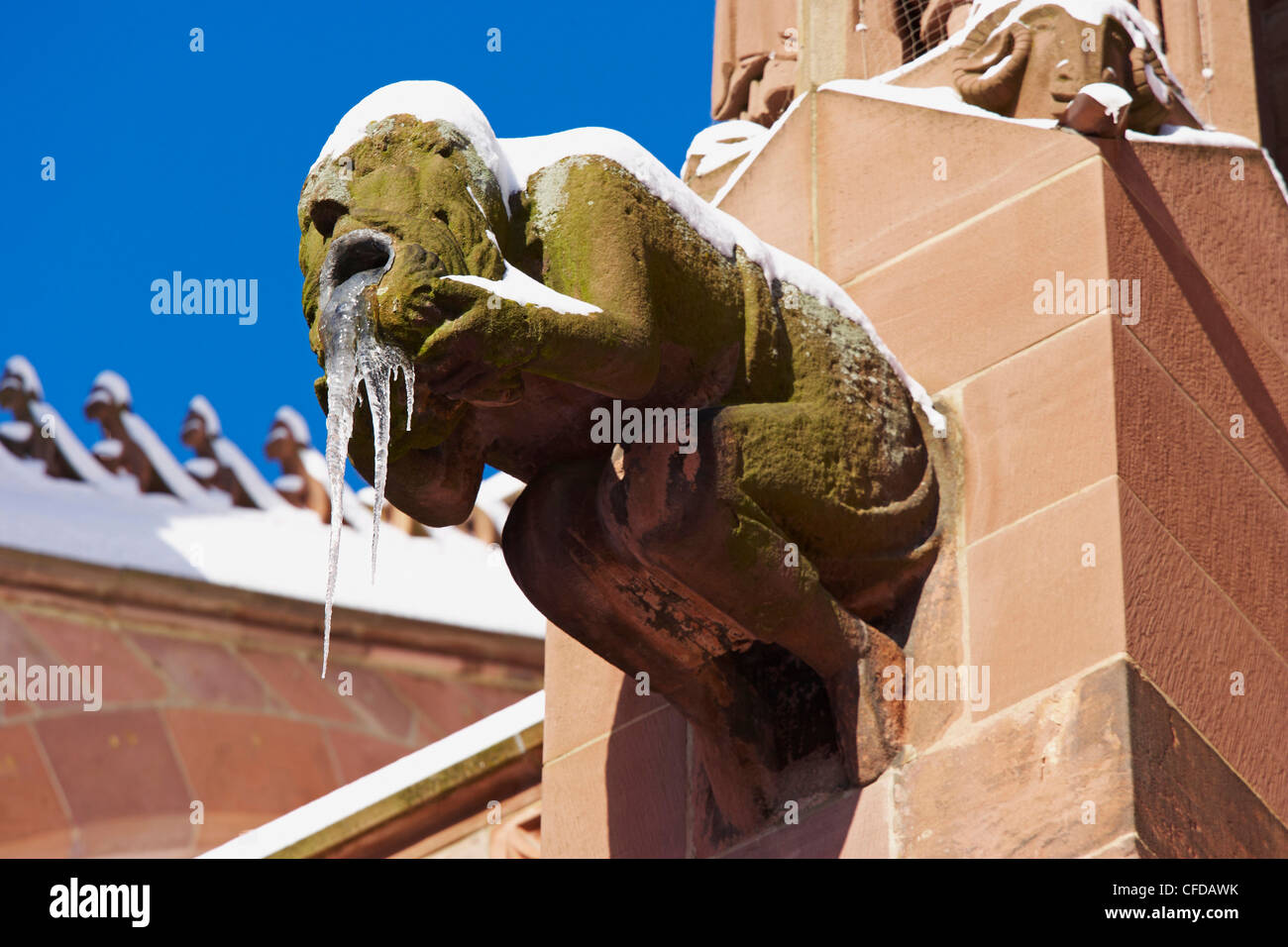Munster cathedral with gargoyles and other sculptures, square Munsterplatz, Freiburg, Snow, Black Forest, Baden Wuerttemberg, Ge Stock Photo