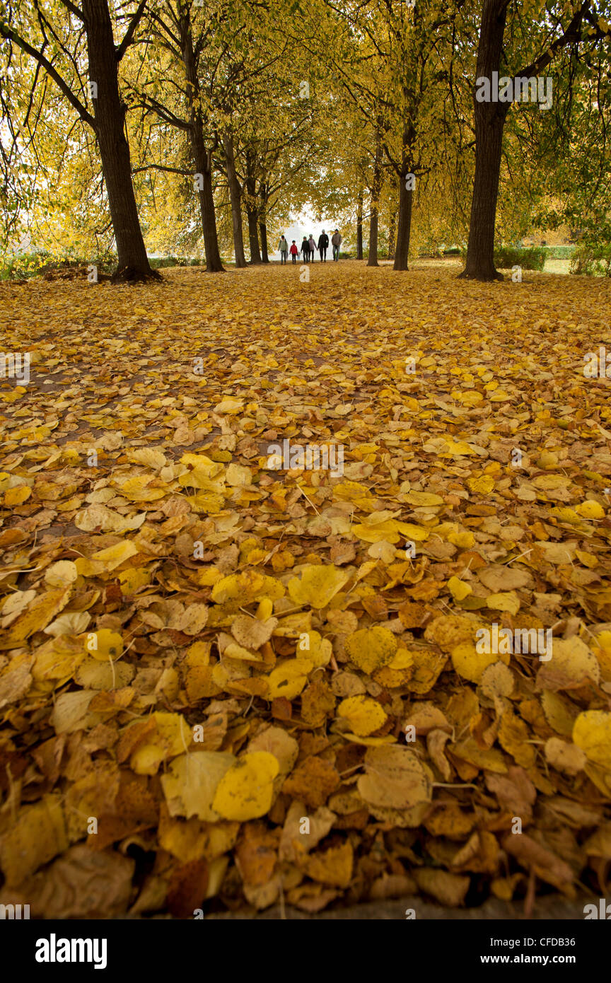 Avenue to the Monument to the Battle of the Nations, Leipzig, Saxony, Germany, Europe Stock Photo