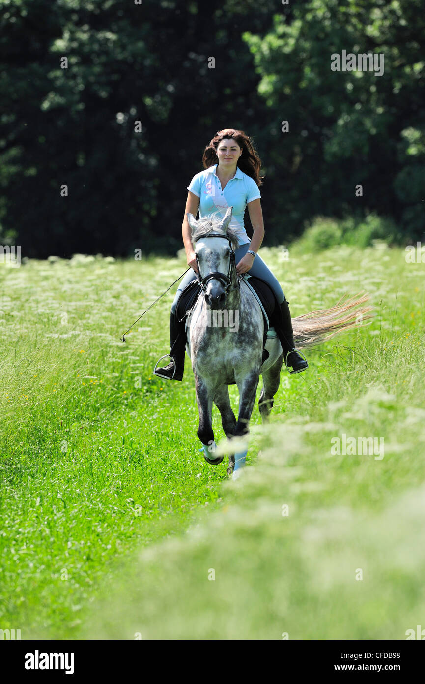 Woman riding a horse through a meadow, Inn Valley, Upper Bavaria, Bavaria, Germany Stock Photo