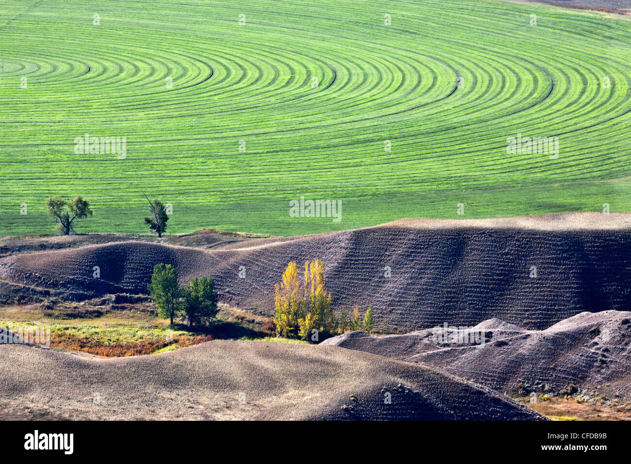 Aerial photography over the Cariboo region of British Columbia, Canada ...