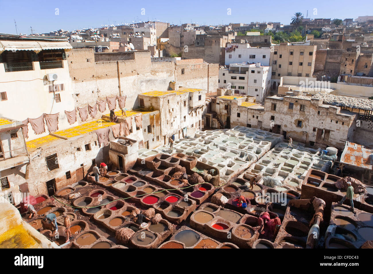 Tannery, Fez, UNESCO World Heritage Site, Morocco, North Africa, Africa Stock Photo