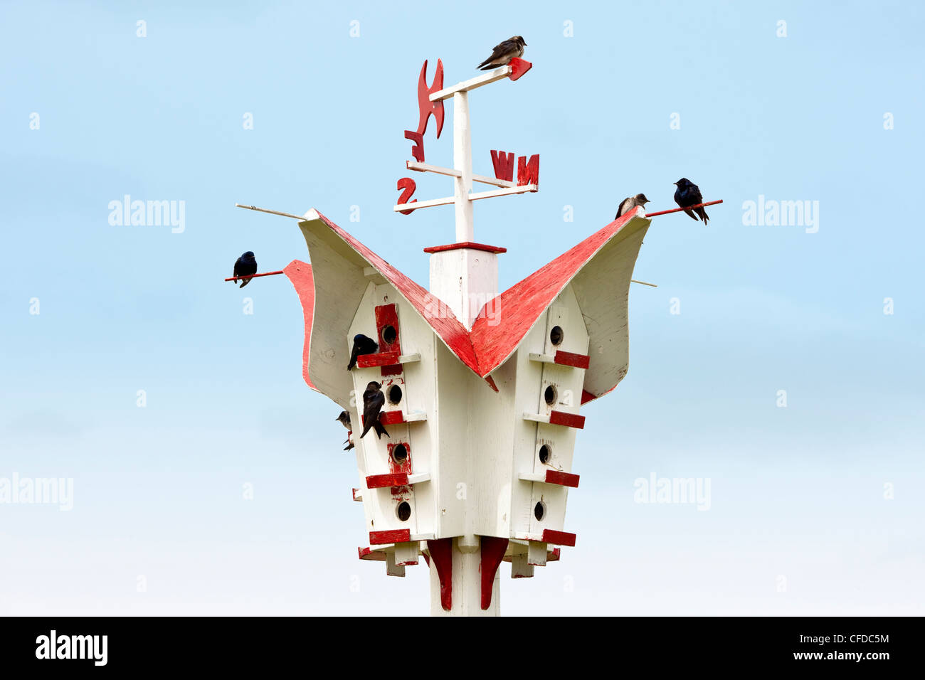 Martin house, Holland, Manitoba, Canada Stock Photo Alamy