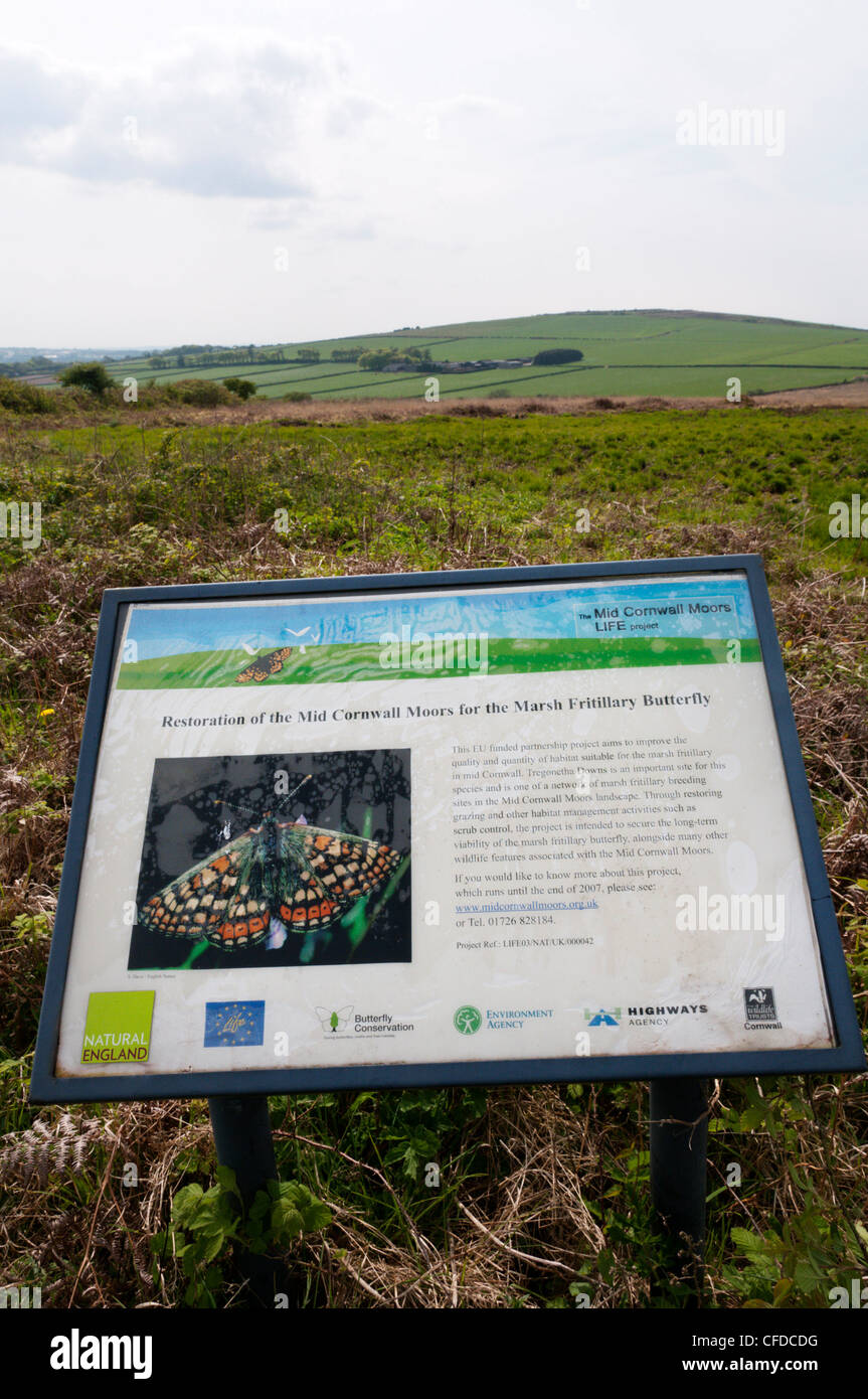 A sign on Tregonetha Downs in mid-Cornwall details the restoration of the area to conserve the Marsh Fritillary Butterfly Stock Photo