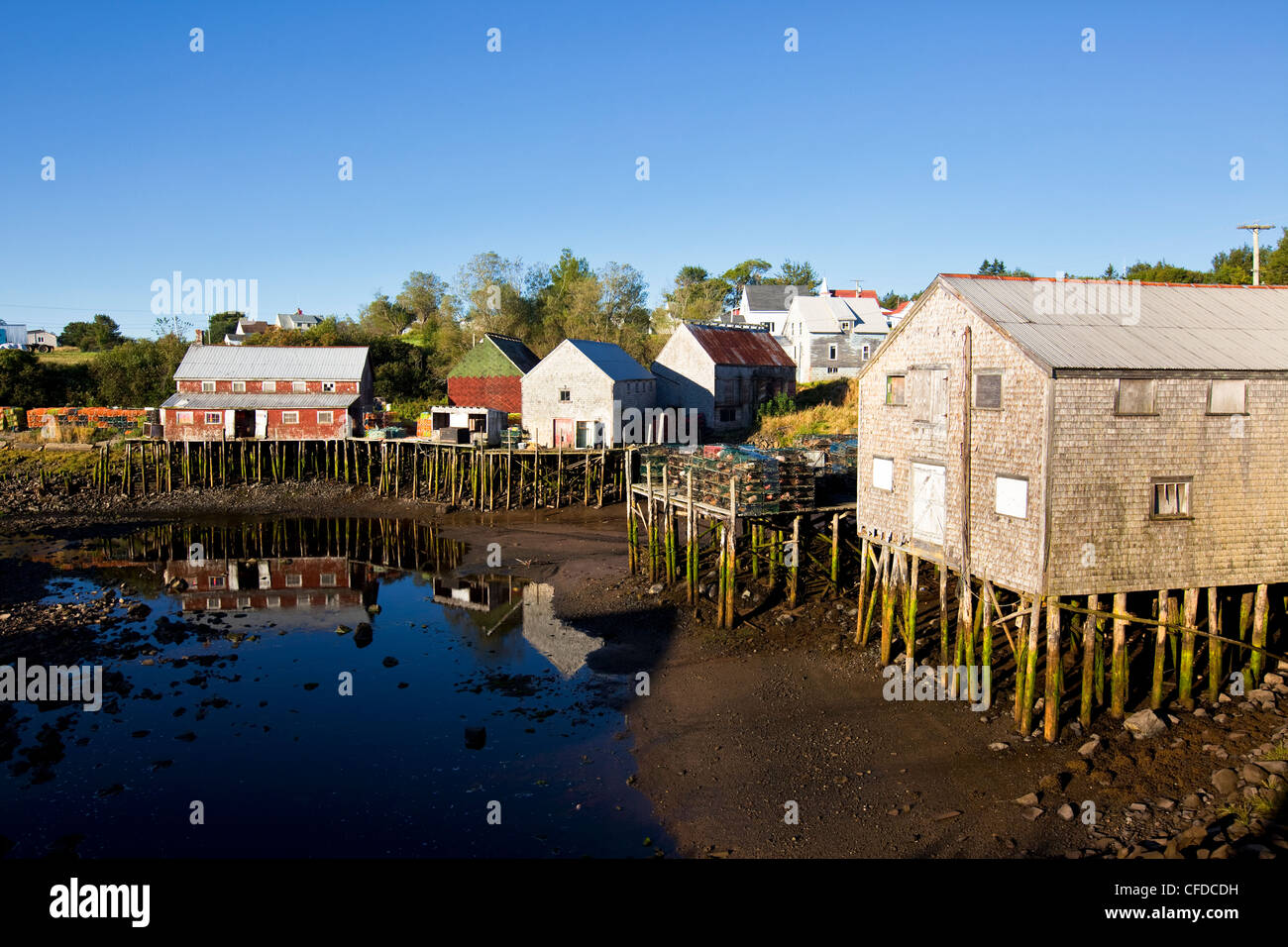 File:Grand Manan Island, Bay of Fundy.jpg - Wikipedia